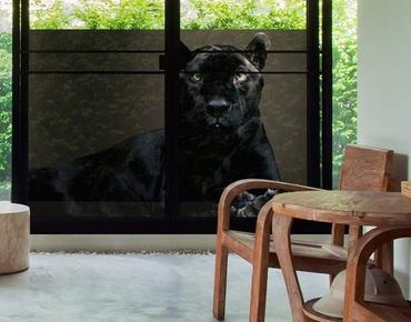 Window decoration - Black Puma