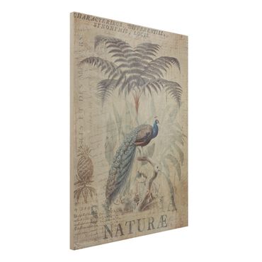 Print on wood - Shabby Chic Collage - Peacock