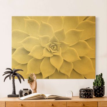 Canvas print gold - Cactus Succulent