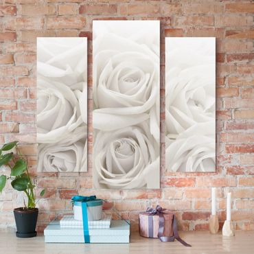 Print on canvas 3 parts - White Roses