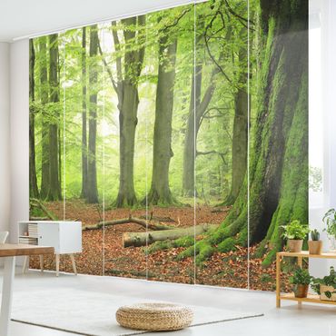 Sliding panel curtains set - Mighty Beech Trees