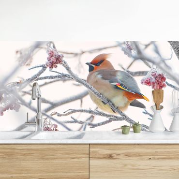 Kitchen wall cladding - Waxwing on a Tree