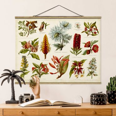 Fabric print with poster hangers - Vintage Board Tropical Botany I