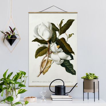 Fabric print with poster hangers - Georg Dionysius Ehret - Magnolia
