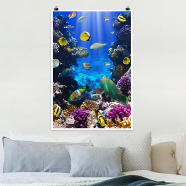 Poster animals - Underwater Dreams