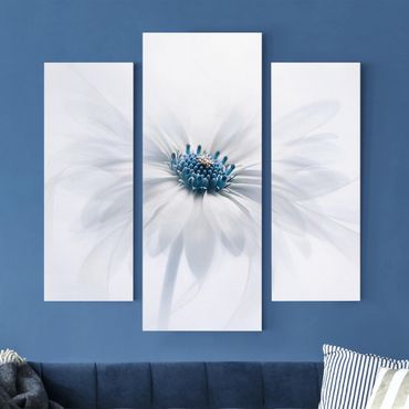 Print on canvas 3 parts - Daisy In Blue