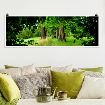 Panoramic poster forest - Hidden Clearing