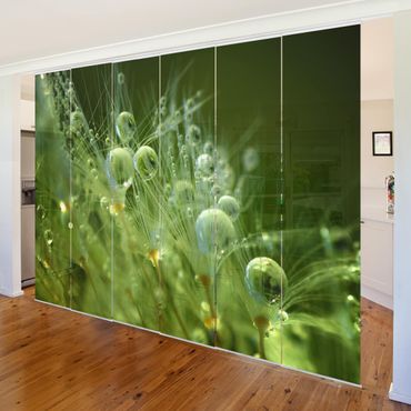 Sliding panel curtains set - Green Seeds In The Rain