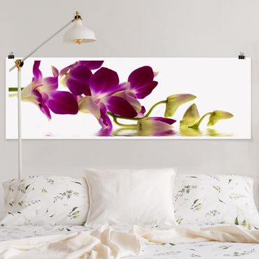 Poster - Pink Orchid Waters