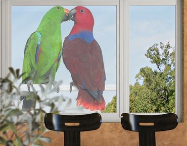 Window sticker - Parrots In Love
