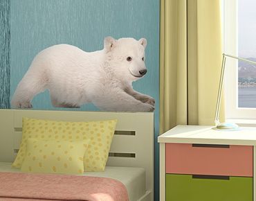 Wall sticker - No.643 Ice Bear Baby