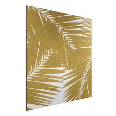 Print on aluminium - View Through Golden Palm Leaves
