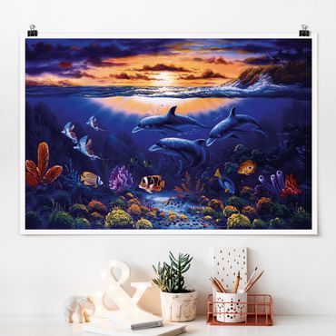 Poster - Dolphins World