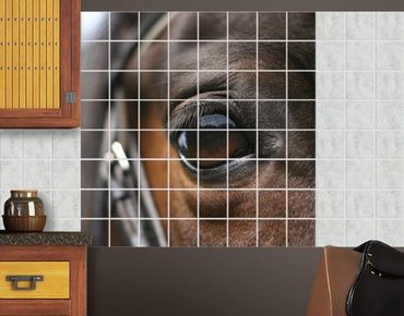 Tile sticker - Horse Eye