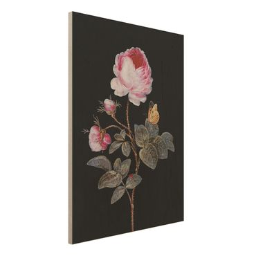 Print on wood - Barbara Regina Dietzsch - The Hundred-Petalled Rose