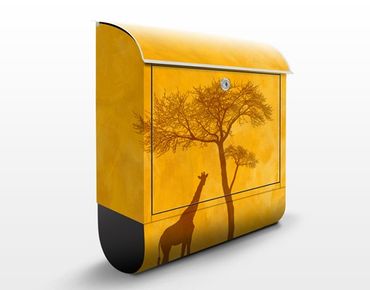 Letterbox - Amazing Kenya