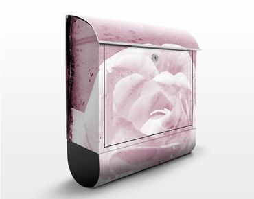 Letterbox - Antique Pink
