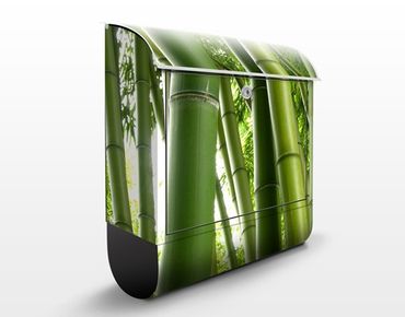 Letterbox - Bamboo Trees No.1