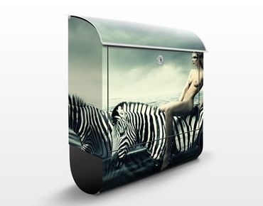 Letterbox - Woman Posing With Zebras