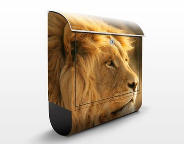 Letterbox - King Lion