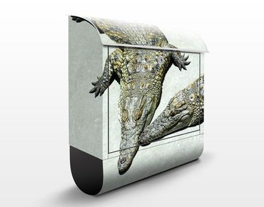 Letterbox - Crocodile Romance