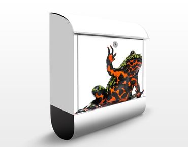 Letterbox - Fire-bellied Toad