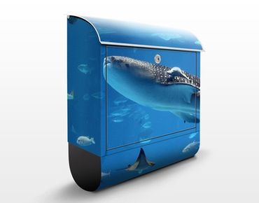 Letterbox - Fish in the Sea