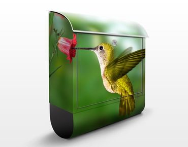 Letterbox - Hummingbird And Flower