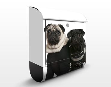 Letterbox - Pug Fashion