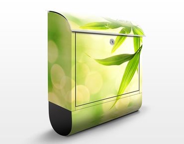 Letterbox - Green Ambiance I