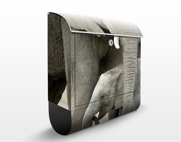 Letterbox - Elephant Love