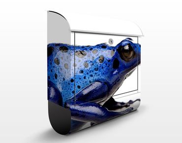 Letterbox - Exotic Frog