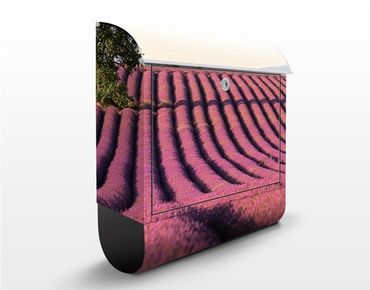 Letterbox - Lavender