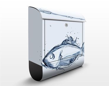 Letterbox - Liquid Silver Fish