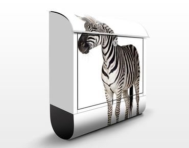 Letterbox - No.293 Smiling Zebra