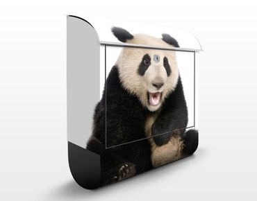 Letterbox - Laughing Panda