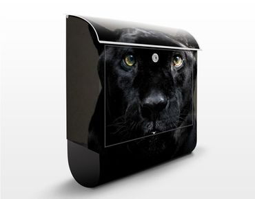 Letterbox - Black Puma