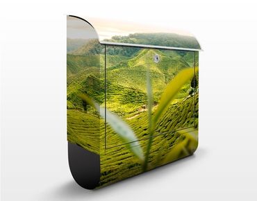 Letterbox - Teagarden