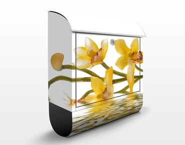 Letterbox - Saffron Orchid Waters