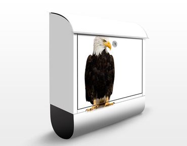 Letterbox - No.379 Eye of the Eagle