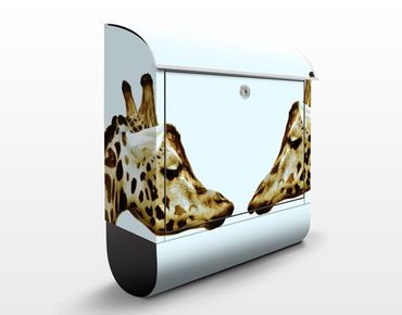 Letterbox - Giraffes In Love