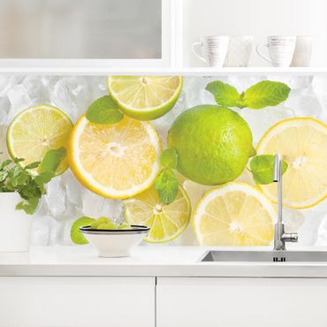 Kitchen wall cladding - Citrus Fruit On Ice Cubes