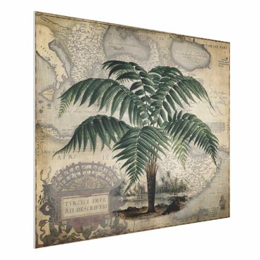 Print on forex - Vintage Collage - Palm And World Map