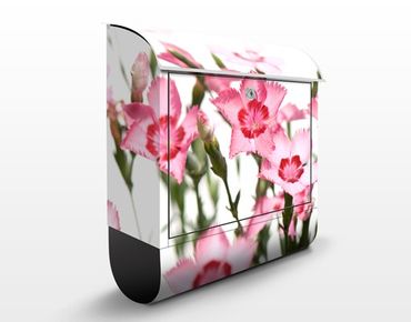 Letterbox - Pink Flowers