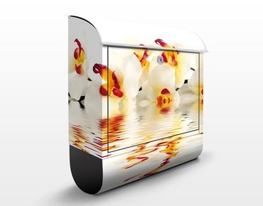 Letterbox - Vivid Orchid Waters