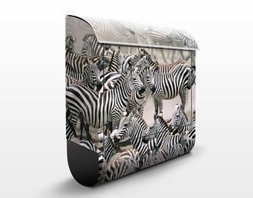 Letterbox - Zebra Herd
