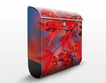 Letterbox - Red Maple