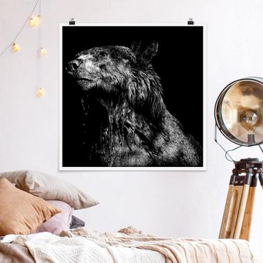 Poster - Bear In The Dark