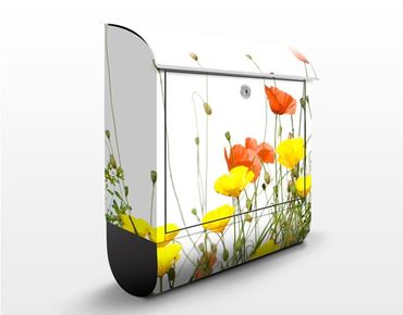 Letterbox - Wild Flowers