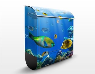 Letterbox - Underwater Lights
